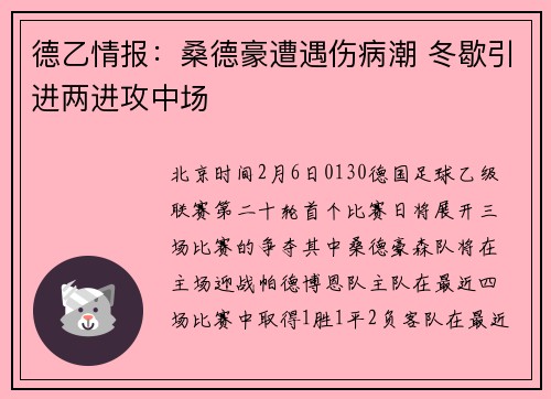 德乙情报：桑德豪遭遇伤病潮 冬歇引进两进攻中场